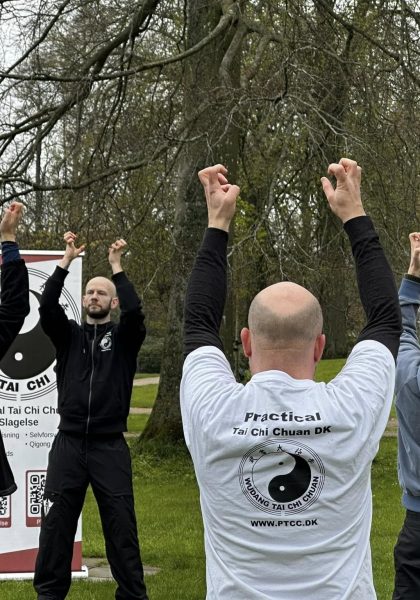Tai Chi Chuan fremviser i Slagelse anlæg