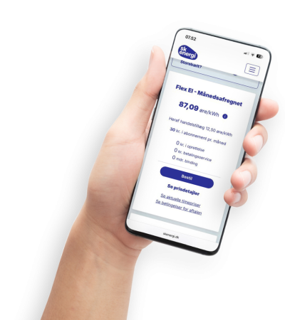 Billeder til hjemmeside (11)