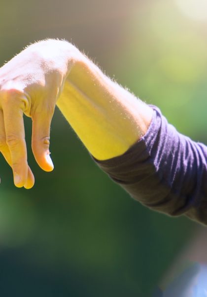 Billeder til hjemmeside - 2025-11-10T125425.329