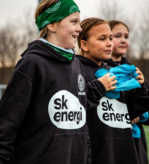 skenergi-043 skenergi-043
